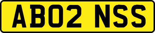 AB02NSS