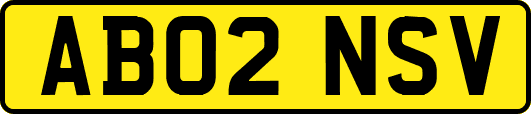 AB02NSV