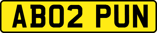 AB02PUN