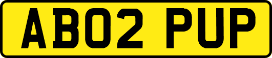 AB02PUP