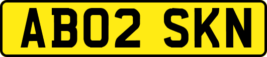 AB02SKN