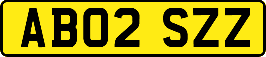 AB02SZZ