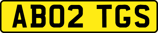 AB02TGS