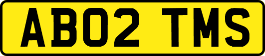 AB02TMS