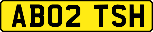 AB02TSH