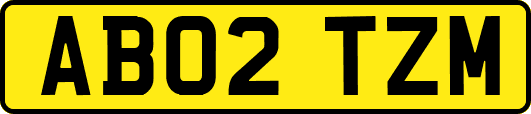 AB02TZM