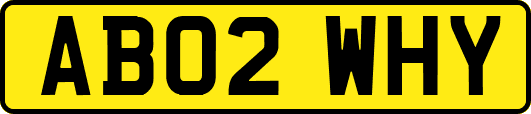 AB02WHY