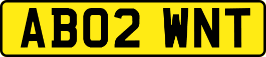 AB02WNT