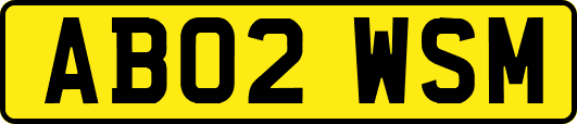 AB02WSM