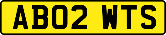 AB02WTS