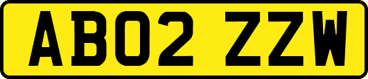 AB02ZZW