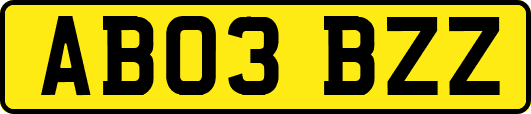 AB03BZZ