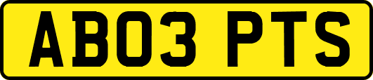 AB03PTS