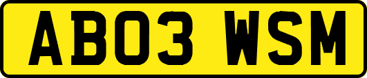 AB03WSM