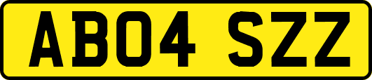 AB04SZZ