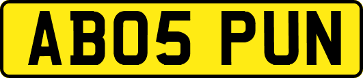 AB05PUN