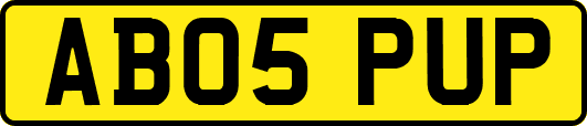 AB05PUP