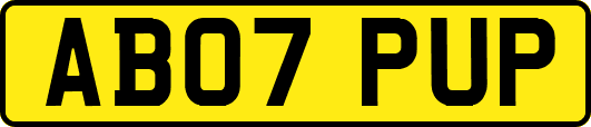 AB07PUP