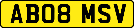 AB08MSV