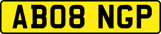 AB08NGP
