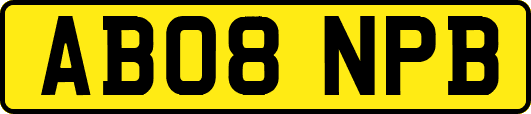 AB08NPB
