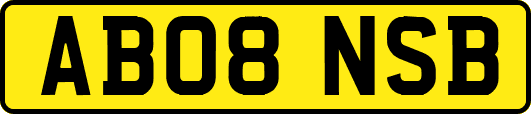 AB08NSB