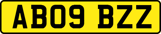 AB09BZZ
