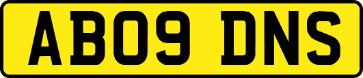 AB09DNS