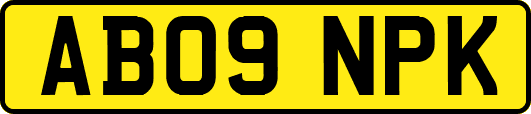 AB09NPK