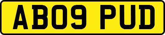 AB09PUD