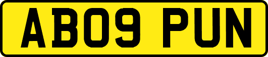 AB09PUN