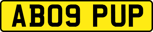 AB09PUP