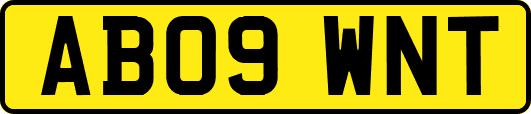 AB09WNT