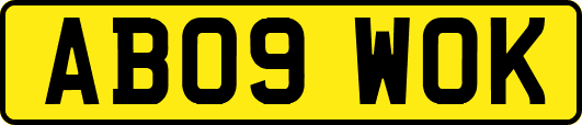 AB09WOK