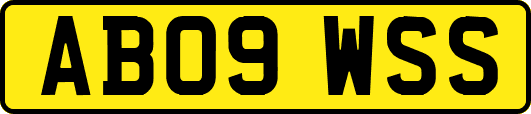 AB09WSS