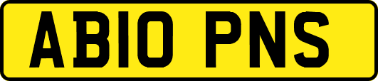 AB10PNS