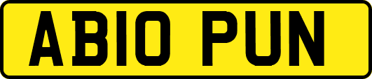 AB10PUN