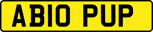AB10PUP