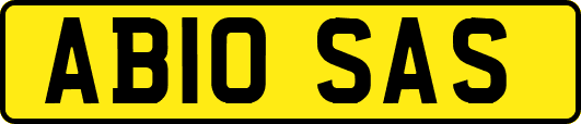 AB10SAS