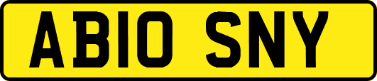 AB10SNY