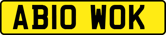 AB10WOK