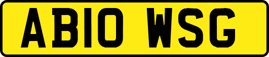 AB10WSG