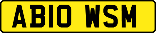 AB10WSM