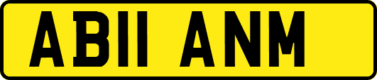 AB11ANM