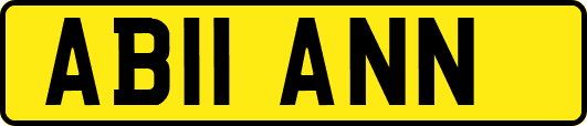 AB11ANN