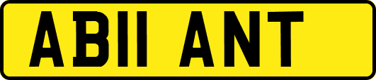AB11ANT