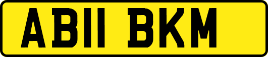 AB11BKM