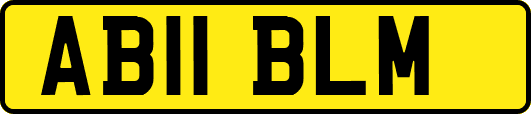 AB11BLM