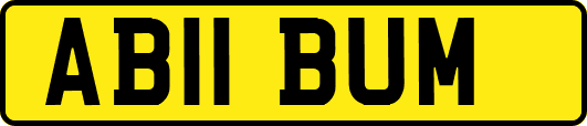 AB11BUM