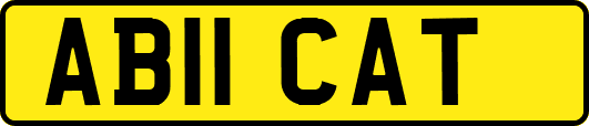 AB11CAT